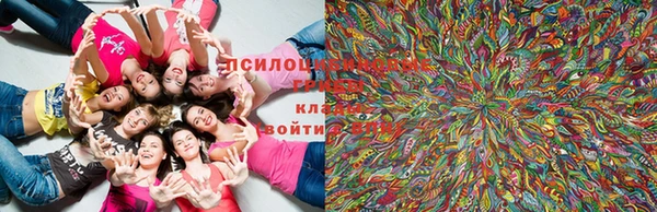 амф Вязьма