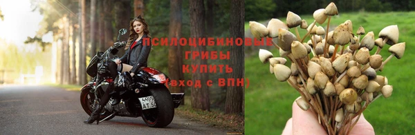 гашишное масло Вяземский