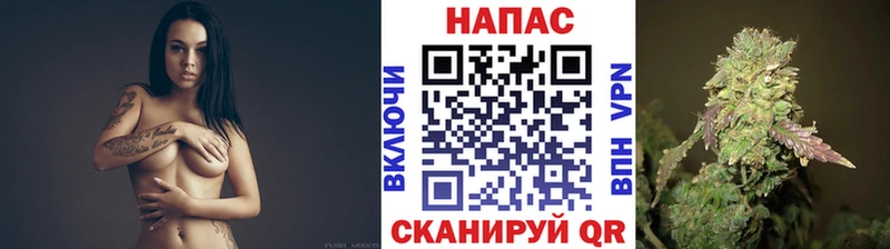 где продают наркотики  Димитровград  Шишки марихуана конопля 
